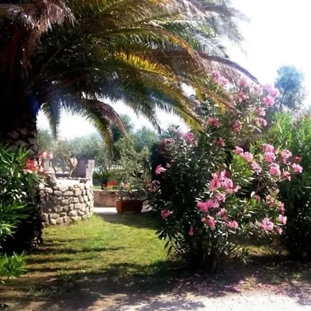 Apartment Dolores Marina di Campo
