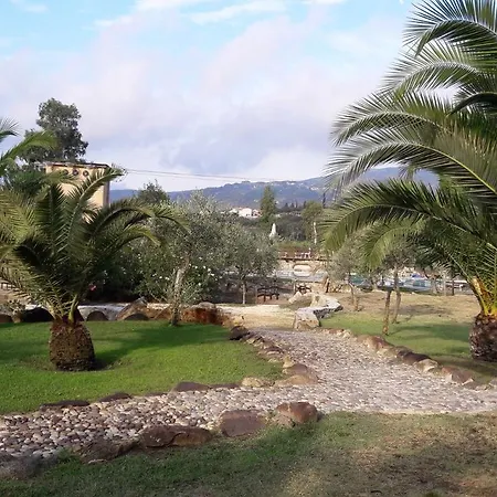 Dolores 마리나디캄포