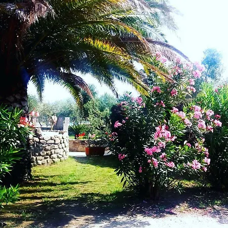 Apartamento Dolores