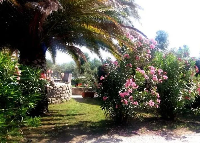 Apartment Dolores Marina di Campo